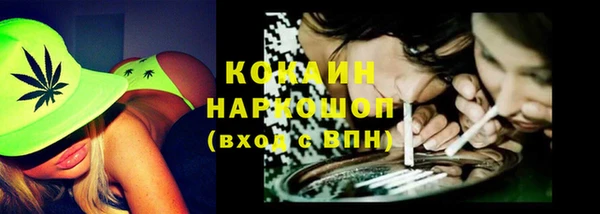 соль ск Липки