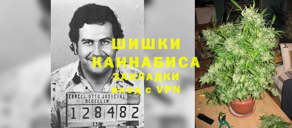 соль ск Липки
