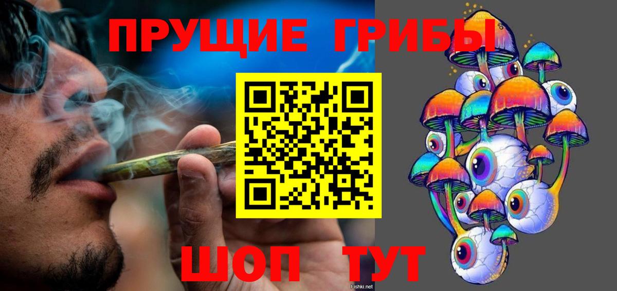 Псилоцибиновые грибы Psilocybine cubensis  Вход с VPN  Кемерово 